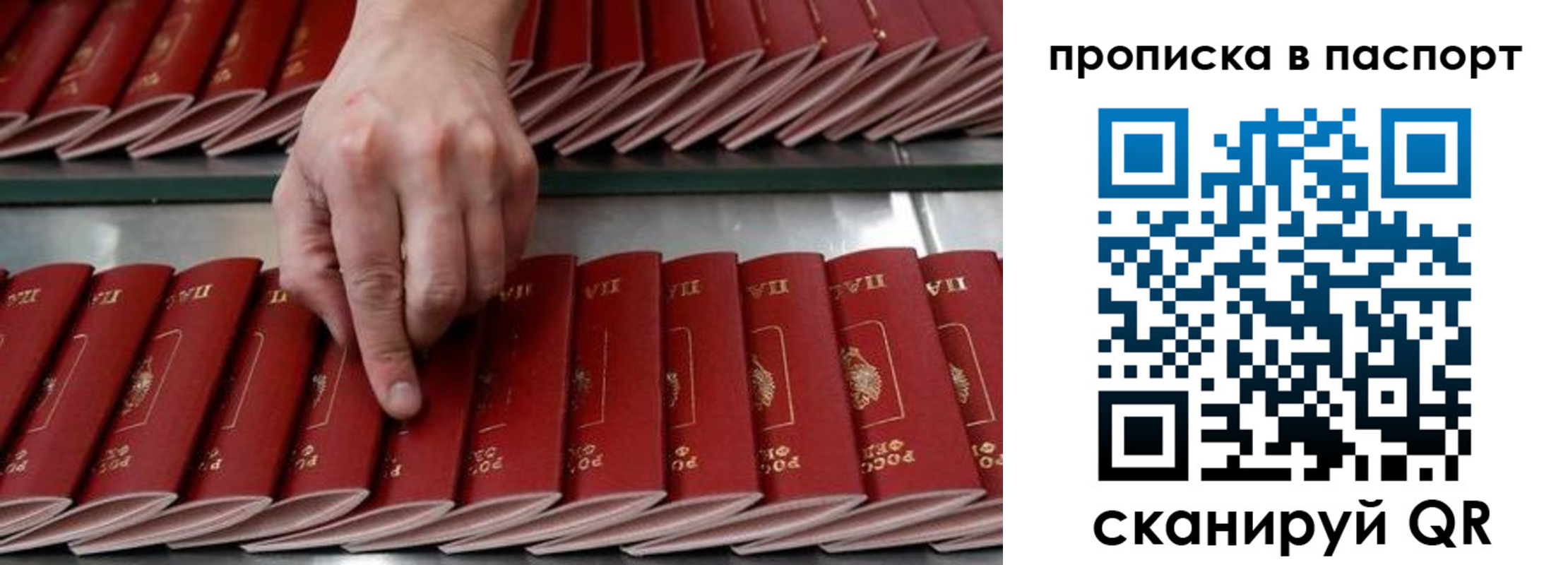 регистрация для школы в Ингушетии